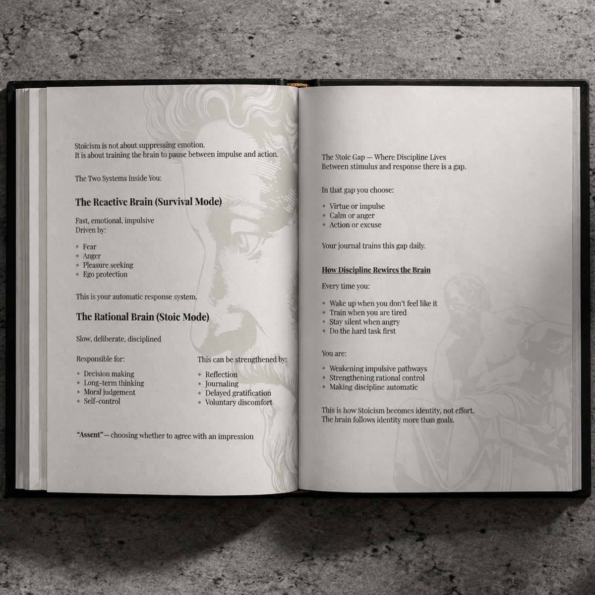 Stoic Journal: The Beginning — Two Journal Bundle